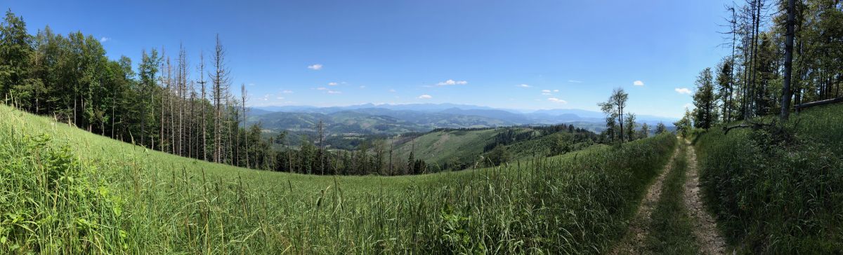 panorama vyhlad kysuce